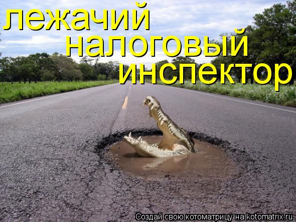 Котоматрица: лежачий налоговый инспектор