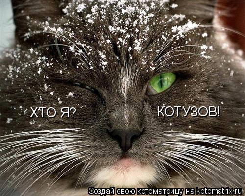 Котоматрица: ХТО Я?  КОТУЗОВ!