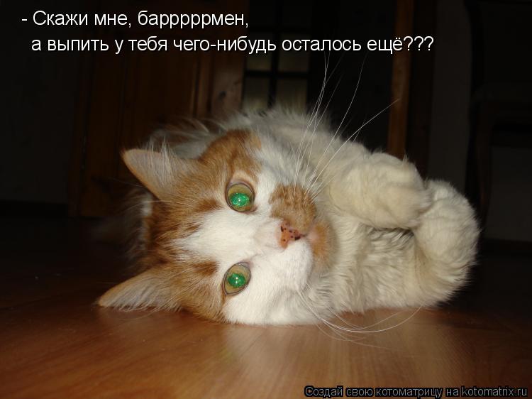 Котоматрица: - Скажи мне, барррррмен, а выпить у тебя чего-нибудь осталось ещё???