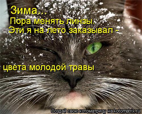 Котоматрица: Зима... Пора менять линзы.  Эти я на лето заказывал - цвета молодой травы