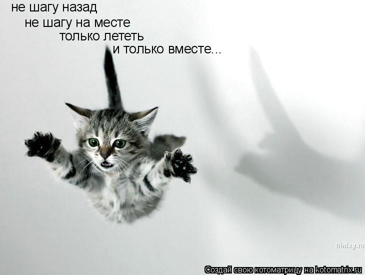 Котоматрица: не шагу назад не шагу на месте только лететь и только вместе...