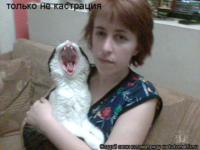 Котоматрица: только не кастрация