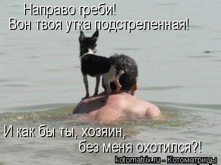 Вон твоя утка подстреленная! Направо греби! И как бы ты, хозяин, без меня охотился?!... Котоматрица: Вон твоя утка подстреленная! Направо греби! И как бы ты, хозяин, без меня охотился?!