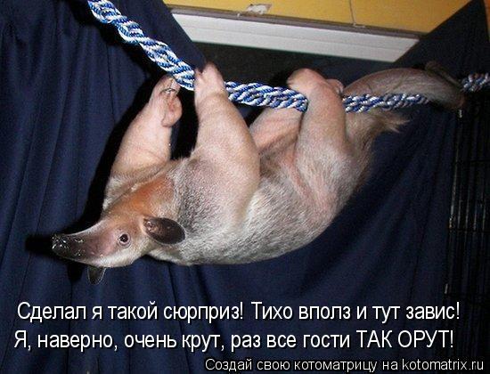 Котоматрица: Сделал я такой сюрприз! Тихо вполз и тут завис! Я, наверно, очень крут, раз все гости ТАК ОРУТ!