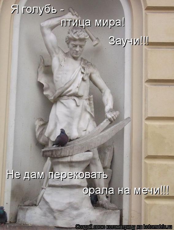 Котоматрица: Заучи!!! Я голубь -  птица мира! орала на мечи!!! Не дам перековать