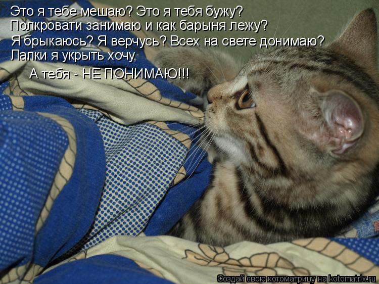 Это я тебе мешаю? Это я тебя бужу? Полкровати занимаю и как барыня лежу? Я брыкаюсь? Я верчусь? Всех ... Котоматрица: Это я тебе мешаю? Это я тебя бужу? Полкровати занимаю и как барыня лежу? Я брыкаюсь? Я верчусь? Всех на свете донимаю? Лапки я укрыть хочу, А те