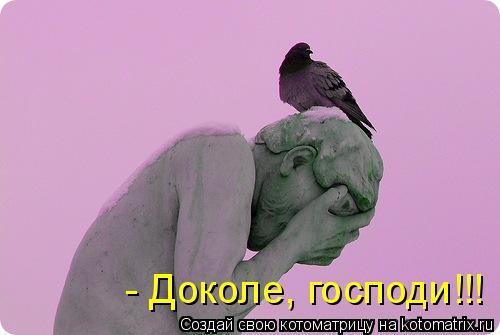 - Доколе, господи!!!... Котоматрица: - Доколе, господи!!!