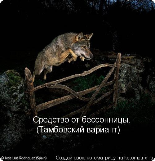 Средство от бессонницы. (Тамбовский вариант)... Котоматрица: Средство от бессонницы. (Тамбовский вариант)