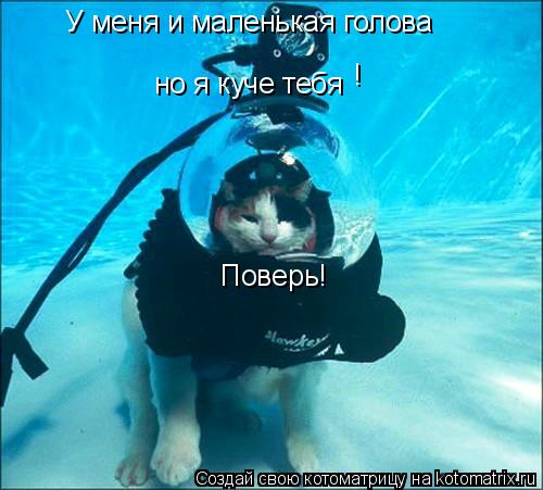 У меня и маленькая голова но я куче тебя ! Поверь!... Котоматрица: У меня и маленькая голова но я куче тебя ! Поверь!