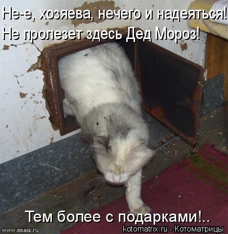 Котоматрица: Не-е, хозяева, нечего и надеяться! Не пролезет здесь Дед Мороз! Тем более с подарками!..