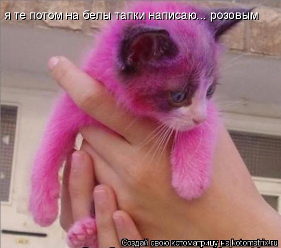 я те потом на белы тапки написаю... розовым... Котоматрица: я те потом на белы тапки написаю... розовым