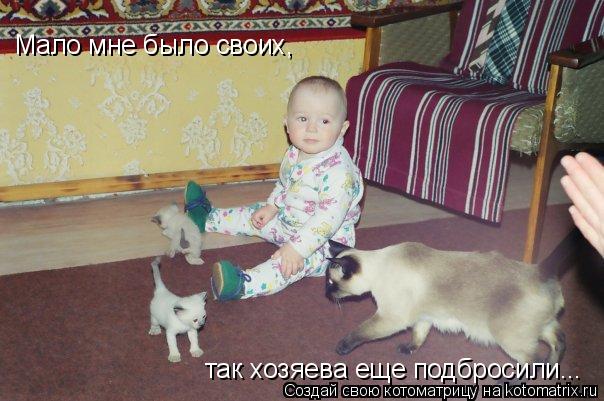 Мало мне было своих, так хозяева еще подбросили...... Котоматрица: Мало мне было своих, так хозяева еще подбросили...