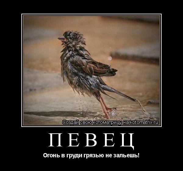 ПЕВЕЦ Огонь в груди грязью не зальешь!... Котоматрица: ПЕВЕЦ Огонь в груди грязью не зальешь!