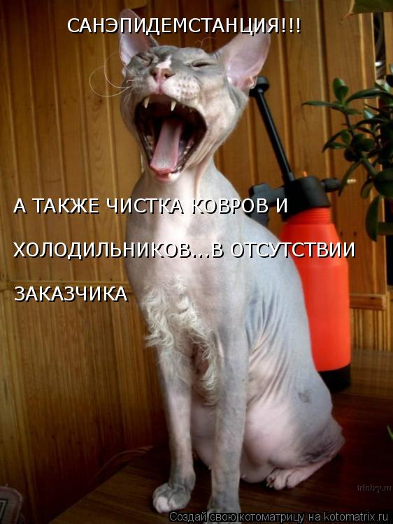Котоматрица: САНЭПИДЕМСТАНЦИЯ!!! А ТАКЖЕ ЧИСТКА КОВРОВ И  ХОЛОДИЛЬНИКОВ...В ОТСУТСТВИИ  ЗАКАЗЧИКА