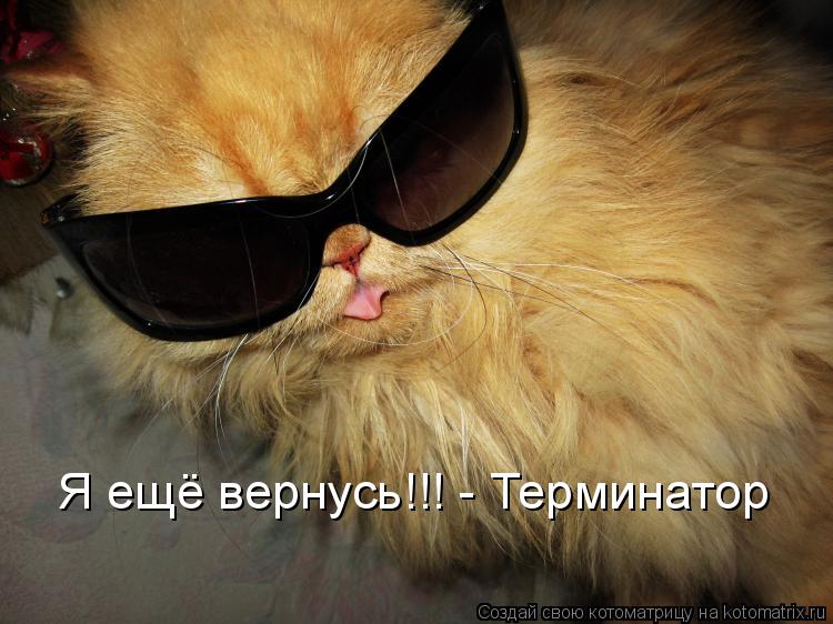 Котоматрица: Я ещё вернусь!!! - Терминатор