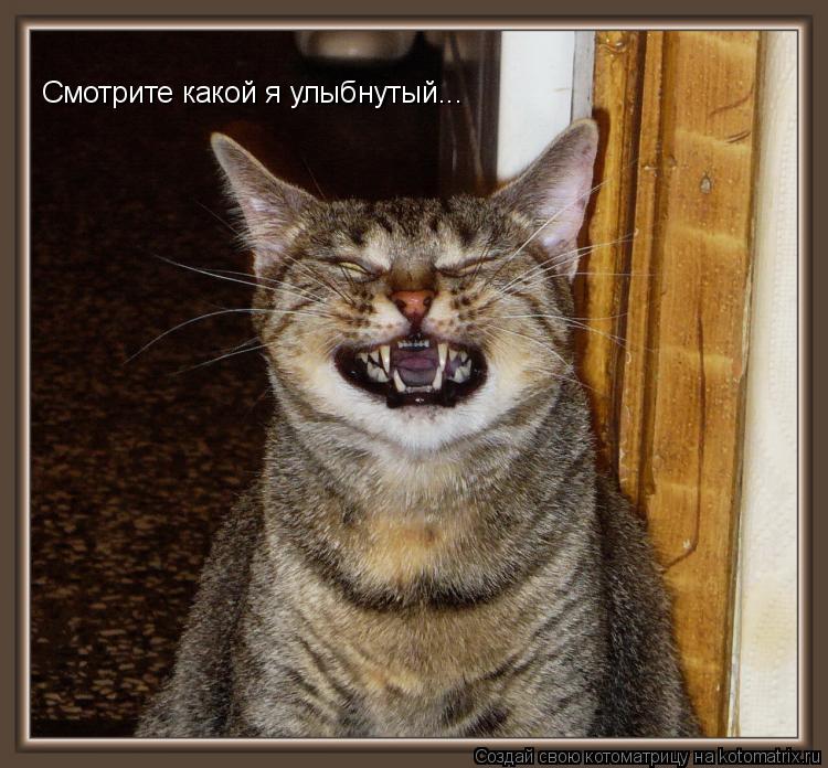 Котоматрица: Смотрите какой я улыбнутый...