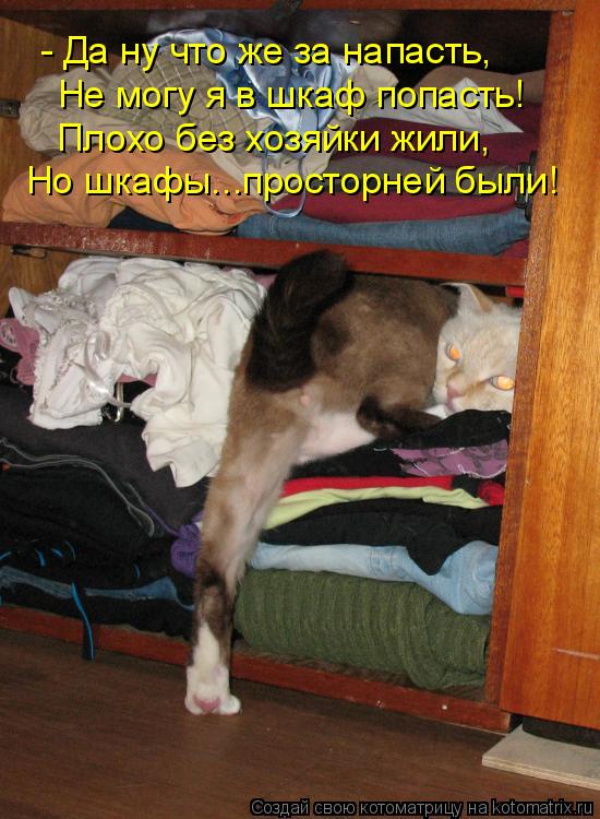 - Да ну что же за напасть, Не могу я в шкаф попасть! Плохо без хозяйки жили, Но шкафы...просторней бы... Котоматрица: - Да ну что же за напасть, Не могу я в шкаф попасть! Плохо без хозяйки жили, Но шкафы...просторней были!