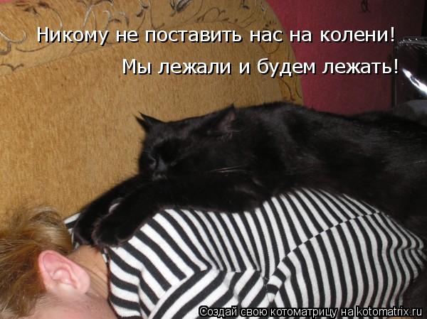Никому не поставить нас на колени! Мы лежали и будем лежать!... Котоматрица: Никому не поставить нас на колени! Мы лежали и будем лежать!