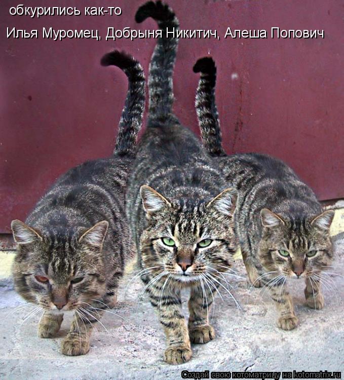 обкурились как-то Илья Муромец, Добрыня Никитич, Алеша Попович... Котоматрица: обкурились как-то Илья Муромец, Добрыня Никитич, Алеша Попович