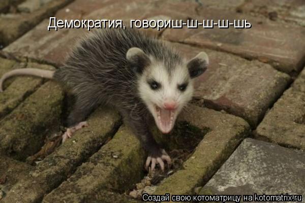Демократия, говориш-ш-ш-ш-шь... Котоматрица: Демократия, говориш-ш-ш-ш-шь