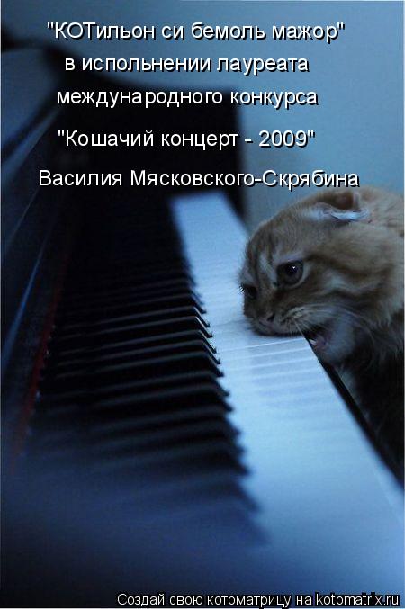 Котоматрица: "КОТильон си бемоль мажор"  в испольнении лауреата международного конкурса  "Кошачий концерт - 2009" Василия Мясковского-Скрябина