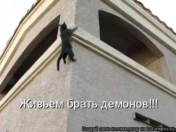 Котоматрица: Живьем брать демонов!!!