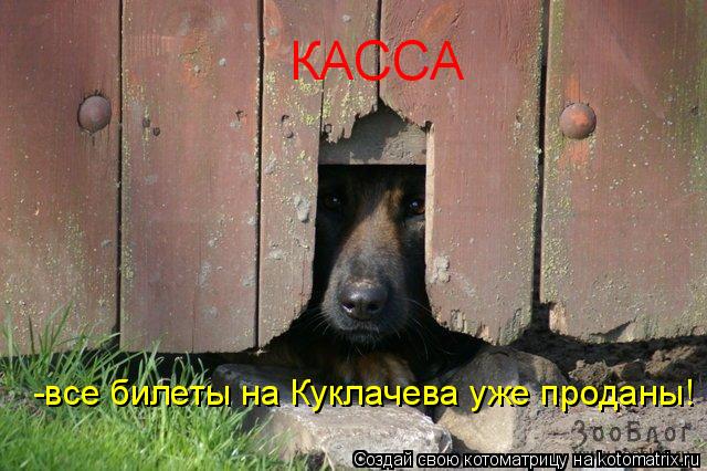 Котоматрица: КАССА -все билеты на Куклачева уже проданы!