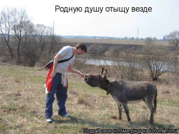 Родную душу отыщу везде... Котоматрица: Родную душу отыщу везде