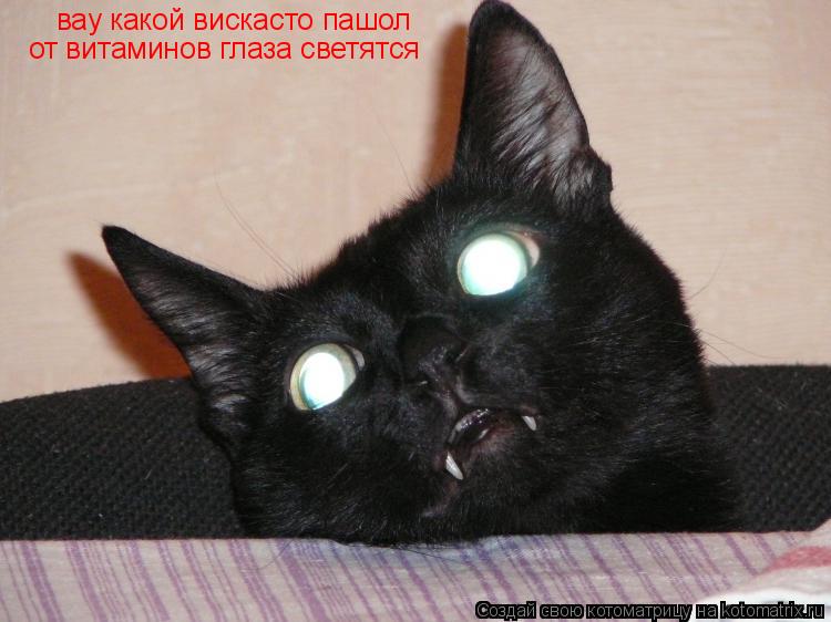 Котоматрица: вау какой вискасто пашол от витаминов глаза светятся