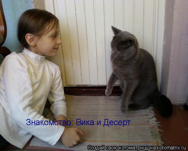Котоматрица: Знакомство: Вика и Десерт