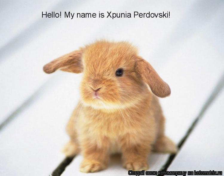 Котоматрица: Hello! My name is Xpunia Perdovski!