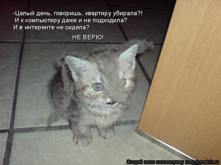 Котоматрица: -Целый день, говоришь, квартиру убирала?! И к компьютеру даже и не подходила? И в интеренте не сидела? НЕ ВЕРЮ!