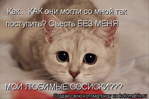 Котоматрица: Как... КАК они могли со мной так поступить? Съесть БЕЗ МЕНЯ МОИ ЛЮБИМЫЕ СОСИСКИ???