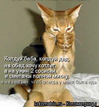 Котоматрица: Колдуй баба, колдуй дед, на обед хочу котлет, а на ужин 2 сосиски, и сметаны полной миску, и на завтрак, чтоб всегда у меня была еда