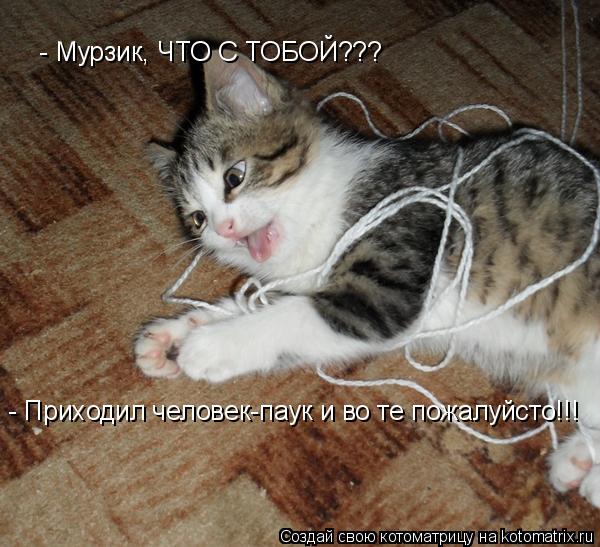 Котоматрица: - Мурзик, ЧТО С ТОБОЙ??? - Приходил человек-паук и во те пожалуйсто!!!