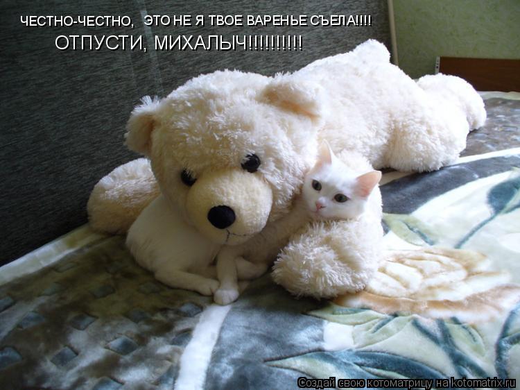 Котоматрица: ЧЕСТНО-ЧЕСТНО, ЭТО НЕ Я ТВОЕ ВАРЕНЬЕ СЪЕЛА!!!! ОТПУСТИ, МИХАЛЫЧ!!!!!!!!!!