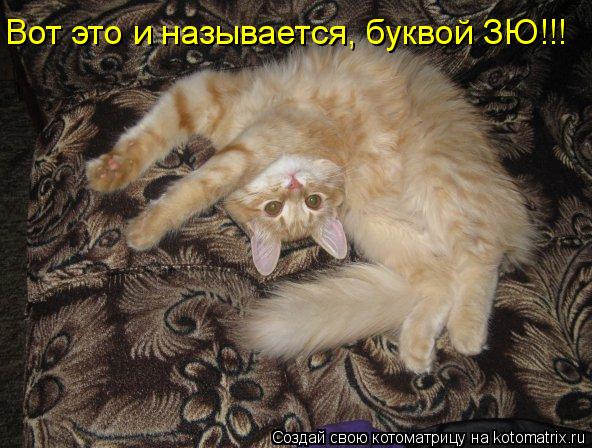 Котоматрица: Вот это и называется, буквой ЗЮ!!!
