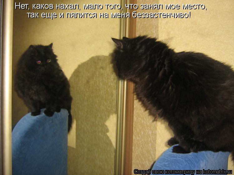 Котоматрица: Нет, каков нахал, мало того, что занял мое место, так еще и пялится на меня беззастенчиво!