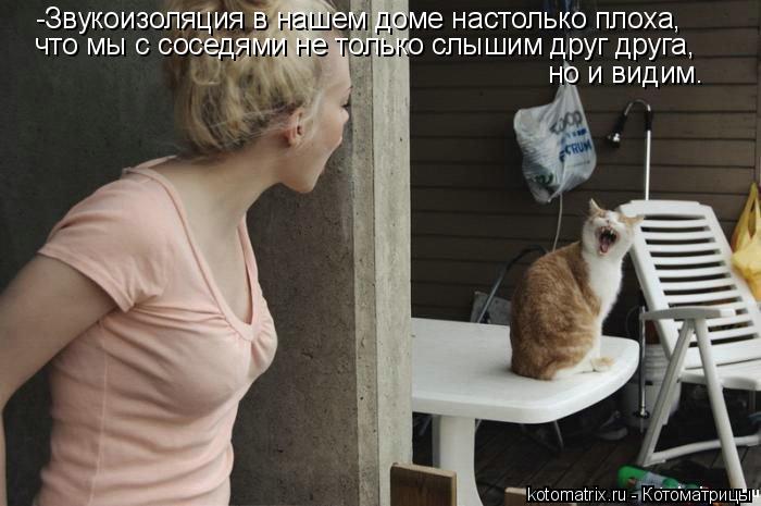 Котоматрица: -Звукоизоляция в нашем доме настолько плоха, что мы с соседями не только слышим друг друга,  но и видим.