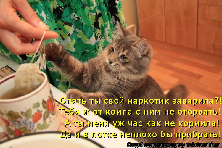 Котоматрица: Да и в лотке неплохо бы прибрать! А ты меня уж час как не кормила! Тебя ж от компа с ним не оторвать! Опять ты свой наркотик заварила?!