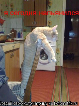 Котоматрица: я сегодня напьянился