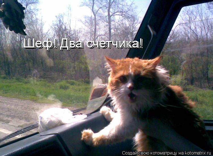 Котоматрица: Шеф! Два счетчика! Шеф! Два счетчика!