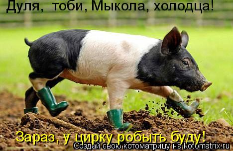 Дуля, тоби, Мыкола, холодца! Зараз, у цирку робыть буду!... Котоматрица: Дуля, тоби, Мыкола, холодца! Зараз, у цирку робыть буду!