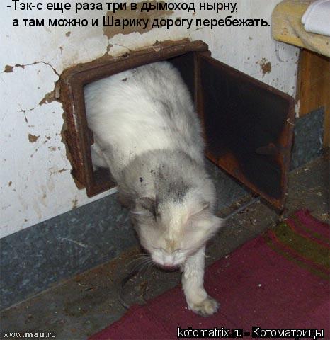 Котоматрица: -Тэк-с еще раза три в дымоход нырну,  а там можно и Шарику дорогу перебежать.