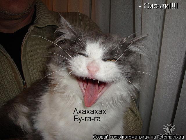 Котоматрица: - Сиськи!!!! Ахахахах Бу-га-га