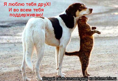 Я люблю тебя друХ! И во всем тебя поддерживаю!... Котоматрица: Я люблю тебя друХ! И во всем тебя поддерживаю!