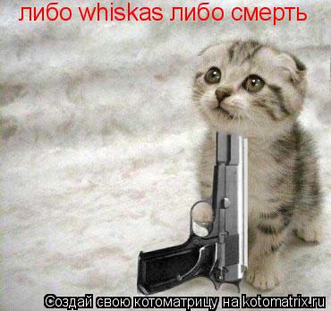 Котоматрица: либо whiskas либо смерть