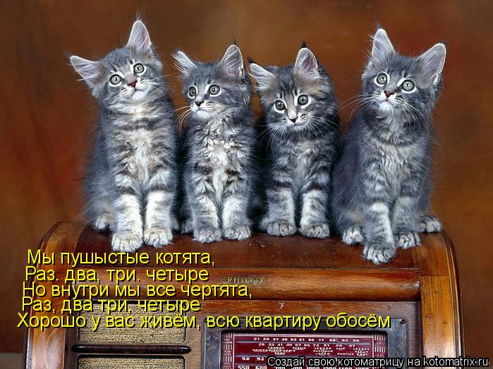 Котоматрица: Мы пушыстые котята, Раз. два, три. четыре Но внутри мы все чертята, Раз, два три, четыре Хорошо у вас живём, всю квартиру обосём