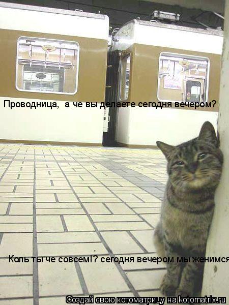 Проводница, а че вы делаете сегодня вечером? Коль ты че совсем!? сегодня вечером мы женимся!... Котоматрица: Проводница, а че вы делаете сегодня вечером? Коль ты че совсем!? сегодня вечером мы женимся!