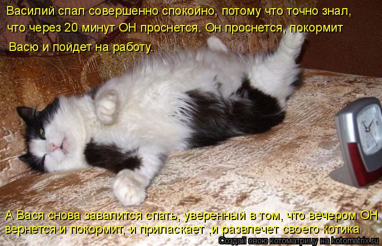 Котоматрица: Василий спал совершенно спокойно, потому что точно знал, что через 20 минут ОН проснется. Он проснется, покормит Васю и пойдет на работу. А Ва